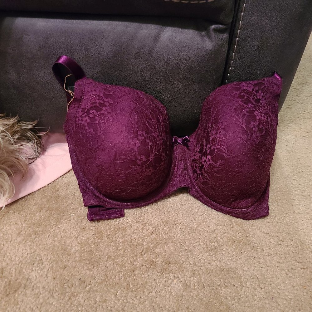 Ambrielle Lighly Lined Full Coverage Bra 42C, plum